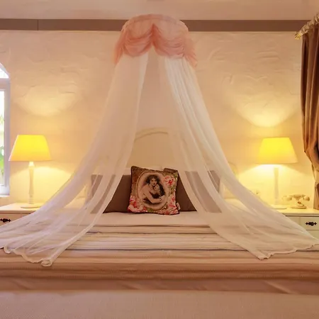 Flamingo Hotel & Spa - Pet Friendly-2